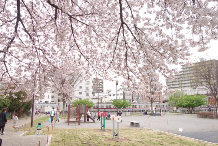 桜と電車の見える公園